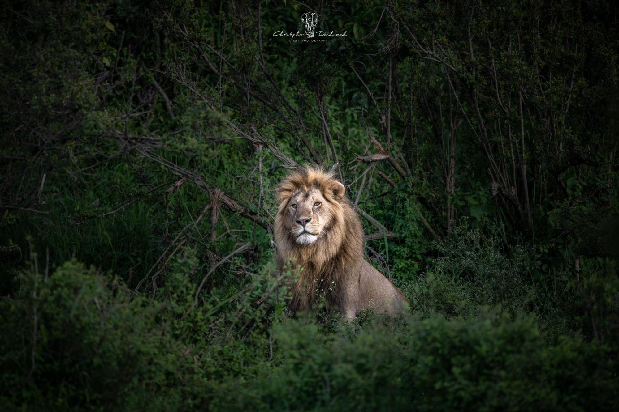 Mara Major Camp Hotel Maasai Mara Luaran gambar